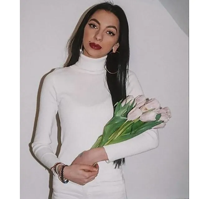 Women’s Pullover Sweater Jumper Turtleneck Ribbed Knit Spandex Knitted Thin Fall Winter Daily Basic Casual Long Sleeve Solid Color caramel Black White One-Size 2XL / 3XL S / M fe2bb04465d74ea04c425fd01d93dc66