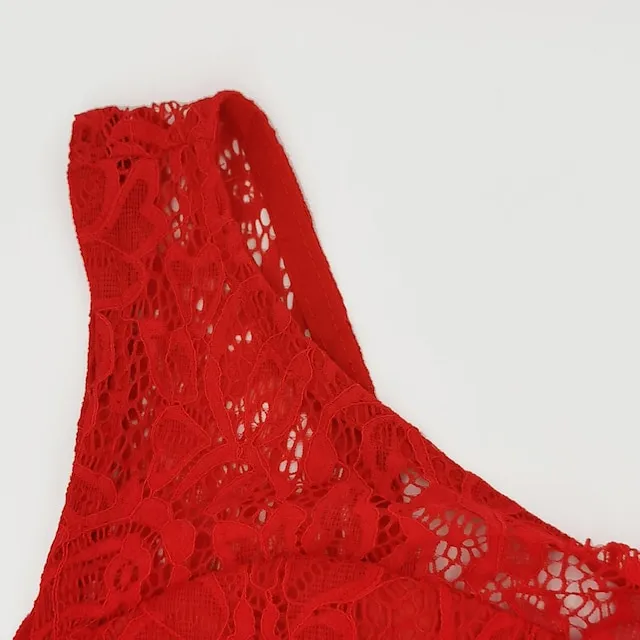 Women‘s Cocktail Party Dress Lace Dress Swing Dress Long Dress Maxi Dress Black Pink Wine Sleeveless Pure Color Lace Fall Spring Summer Crew Neck Fashion 2023 S M L XL XXL 3XL 02537a6002ff9d2381d58454b31e6bdb