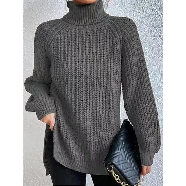 Women’s Pullover Sweater Jumper Turtleneck Ribbed Knit Nylon Oversized Summer Spring Daily Going out Weekend Stylish Casual Soft Long Sleeve Solid Color Black White Light Green S M L c990a016d5fdefd01402e79aa637d4d3