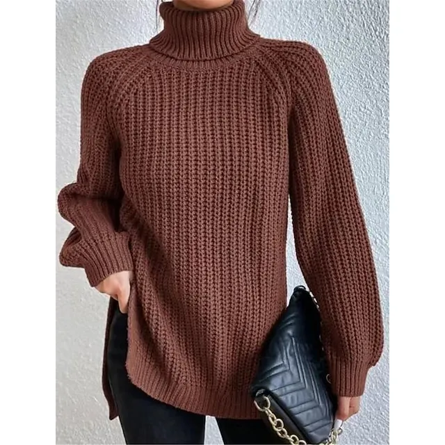 Women’s Pullover Sweater Jumper Turtleneck Ribbed Knit Nylon Oversized Summer Spring Daily Going out Weekend Stylish Casual Soft Long Sleeve Solid Color Black White Light Green S M L f60b3c13e8266768443aaf9dd3891475